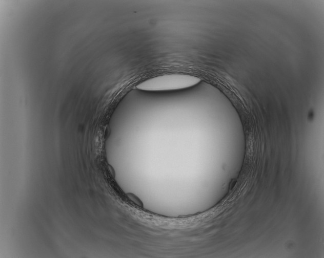 X0000091470043200708161137