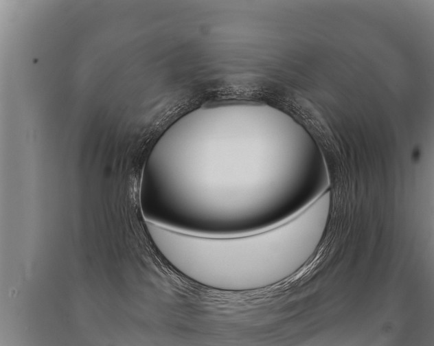 X0000091470045200708161137