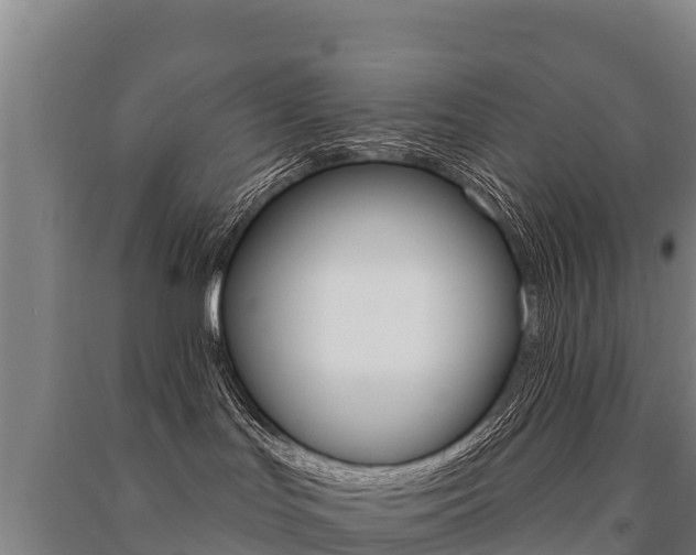 X0000091470047200708161137