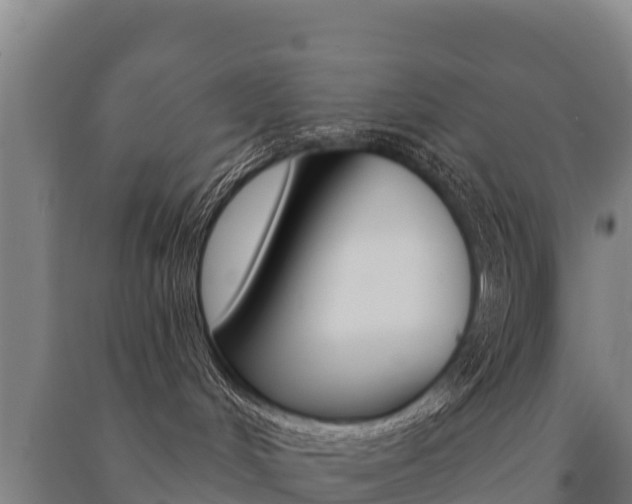X0000091470048200708161137