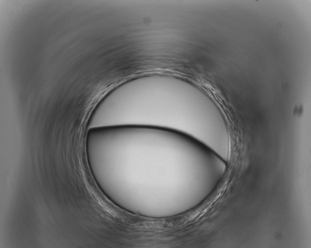 X0000091470049200708161136