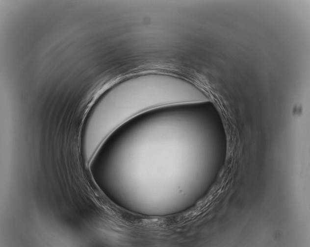 X0000091470050200708161136