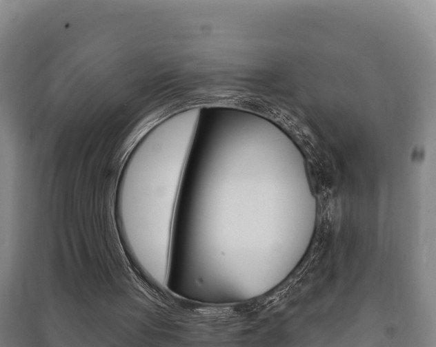 X0000091470051200708161136