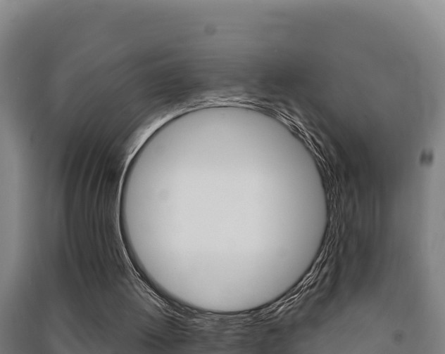 X0000091470052200708161136