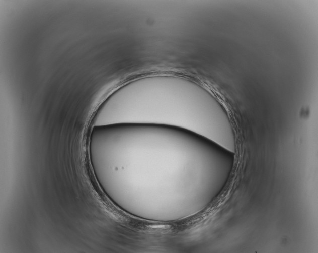 X0000091470053200708161136