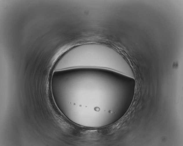 X0000091470054200708161136