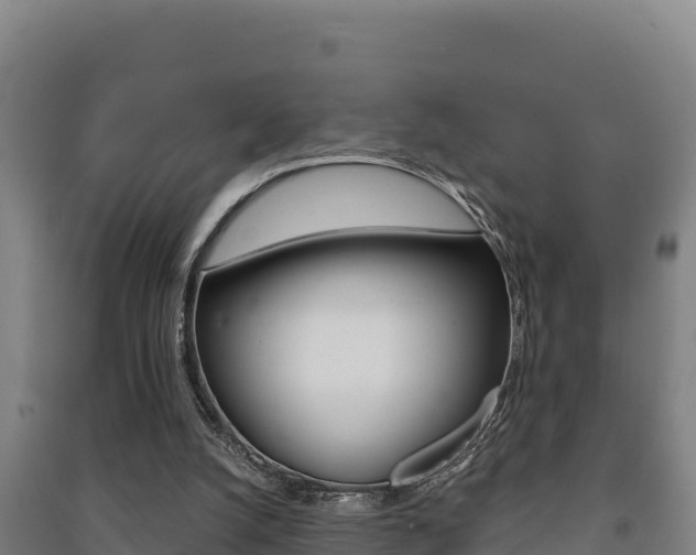 X0000091470056200708161136