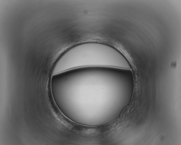 X0000091470058200708161136