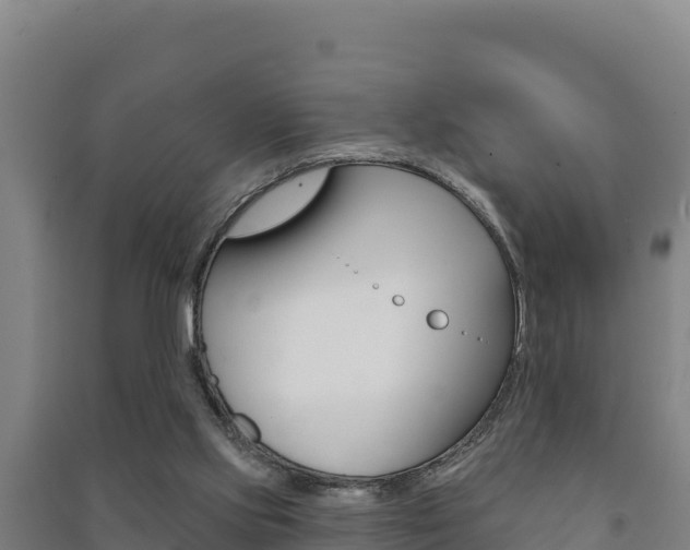 X0000091470061200708161136