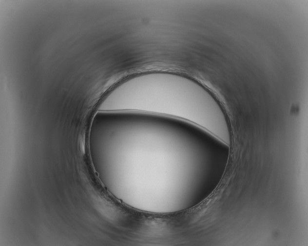 X0000091470062200708161136