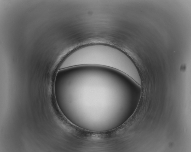 X0000091470064200708161136