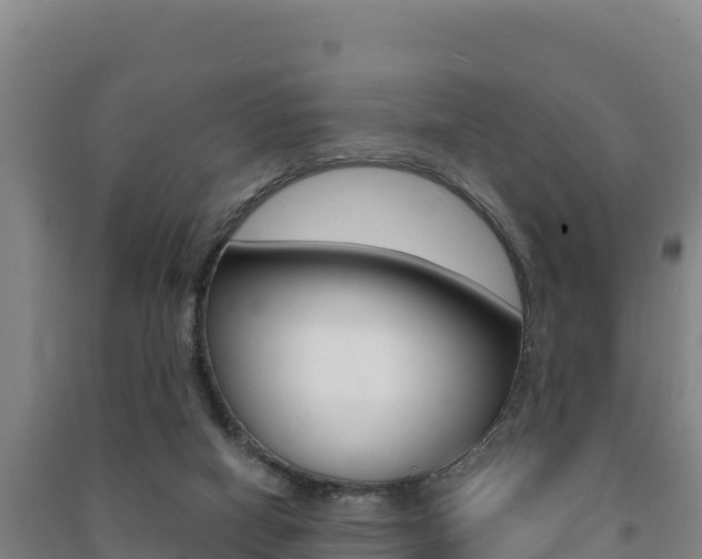 X0000091470066200708161136