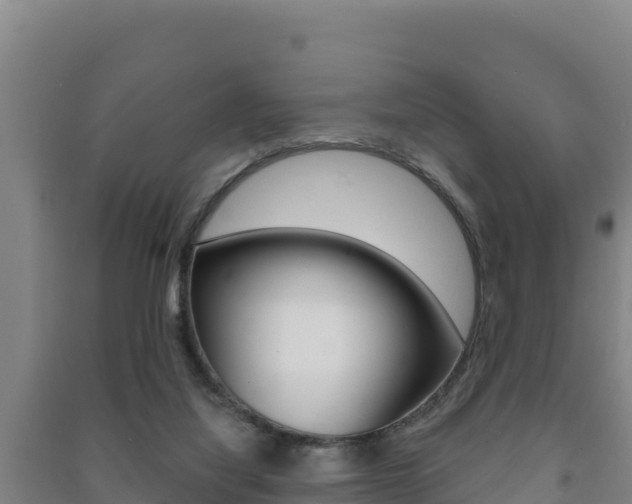 X0000091470068200708161136