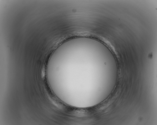 X0000091470069200708161136
