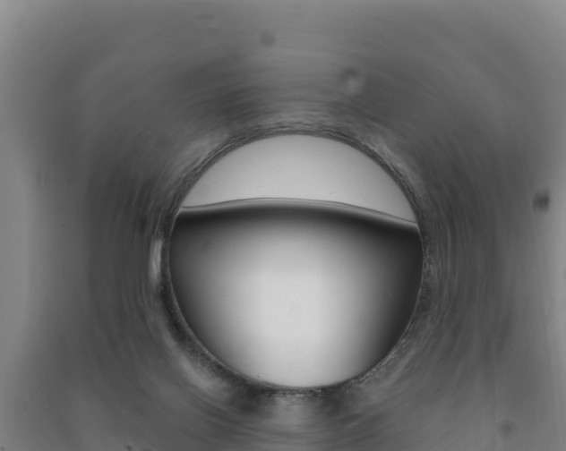 X0000091470070200708161136