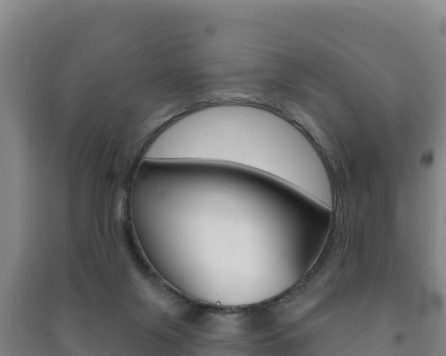 X0000091470071200708161136