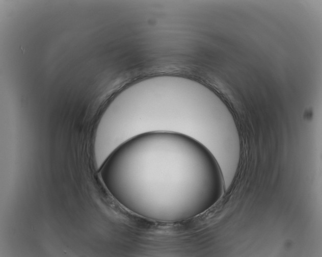 X0000091470072200708161136