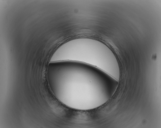 X0000091470073200708161136