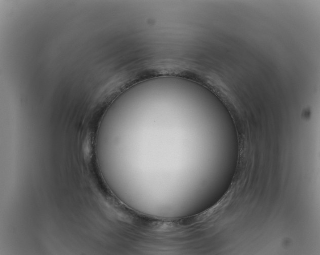 X0000091470074200708161136
