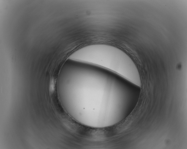 X0000091470075200708161136