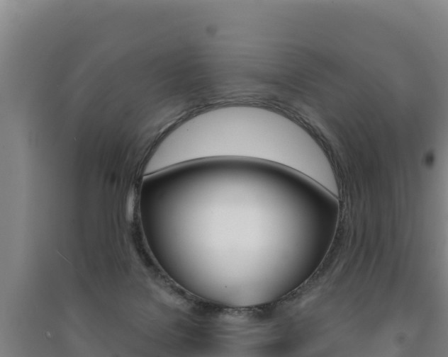X0000091470076200708161136