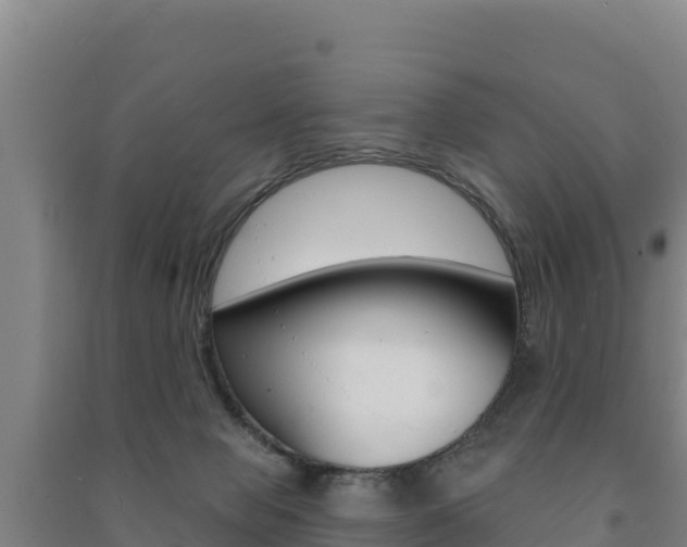 X0000091470077200708161136