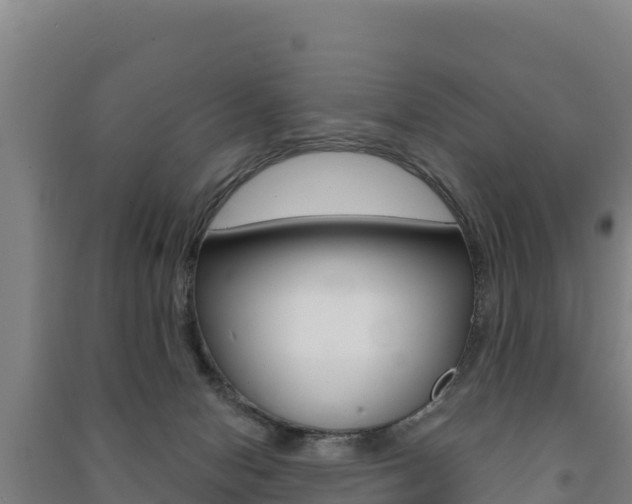 X0000091470078200708161136