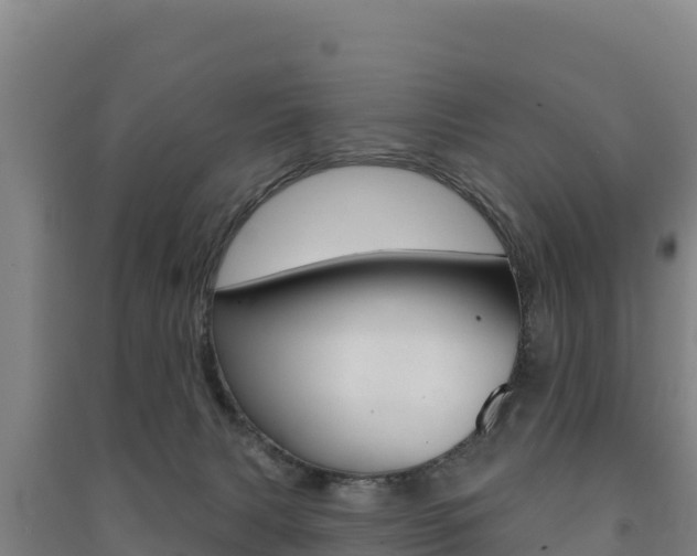 X0000091470079200708161136