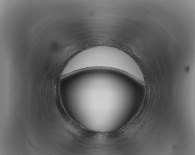 X0000091470080200708161136