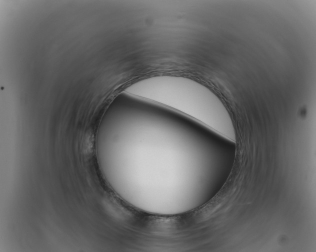 X0000091470081200708161136
