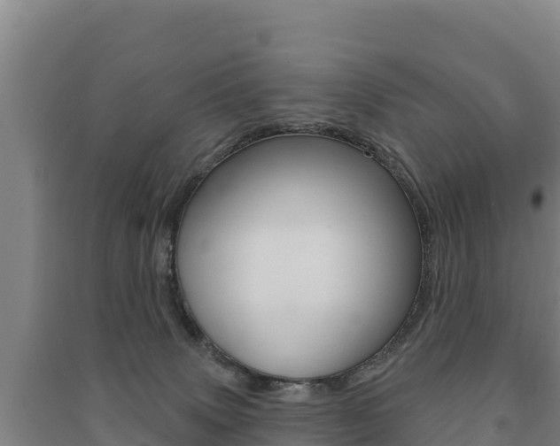 X0000091470083200708161136