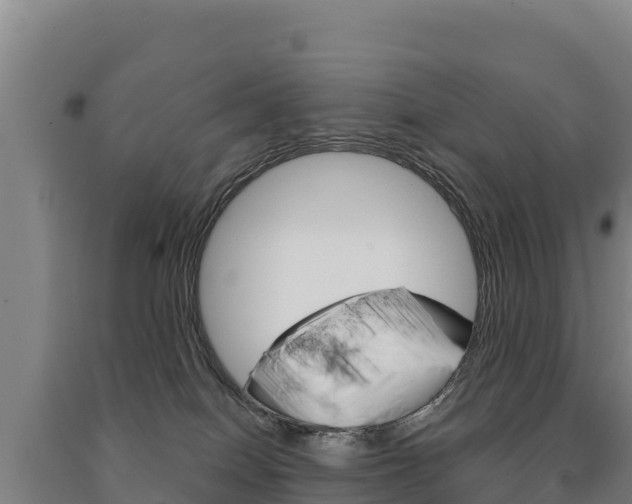 X0000091470086200708161137