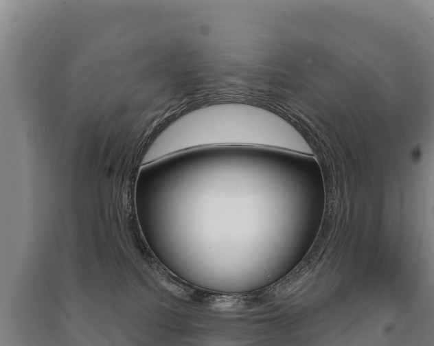 X0000091470088200708161137
