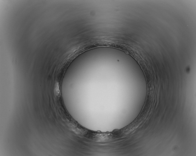 X0000091470089200708161137