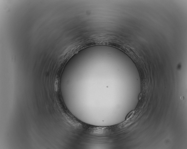 X0000091470090200708161137