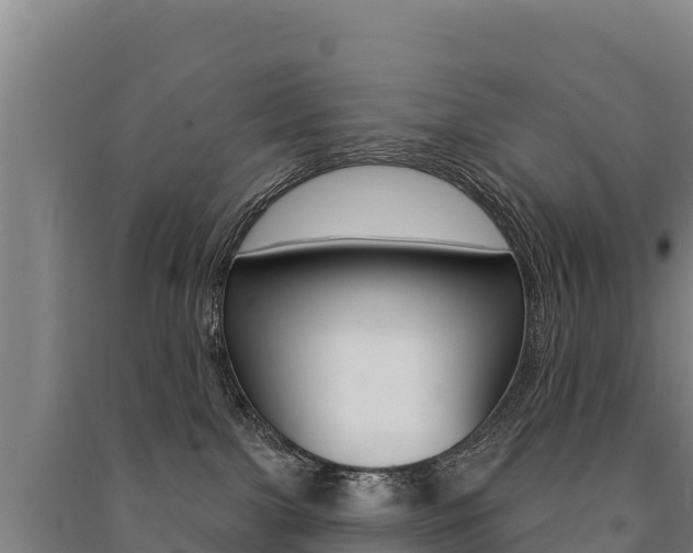X0000091470091200708161137