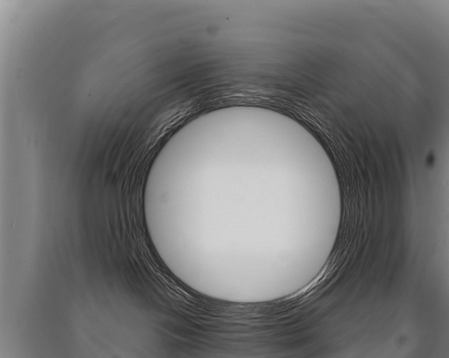 X0000091470094200708161137