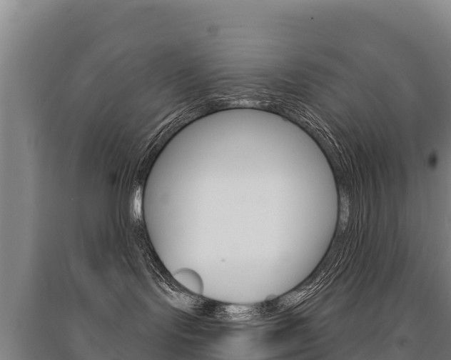 X0000091470095200708161137
