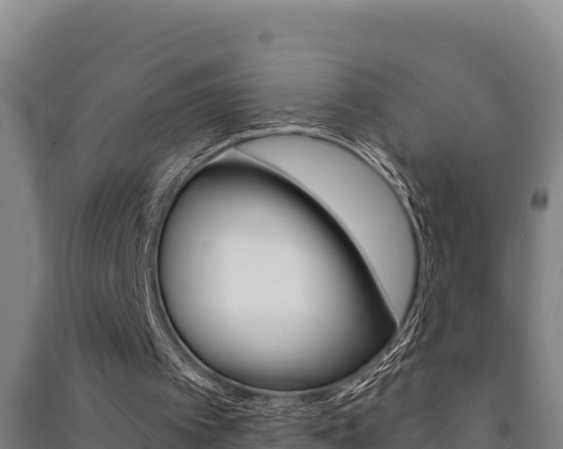 X0000091470097200708161136