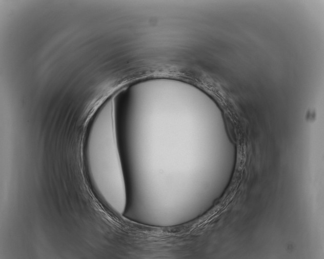 X0000091470098200708161136