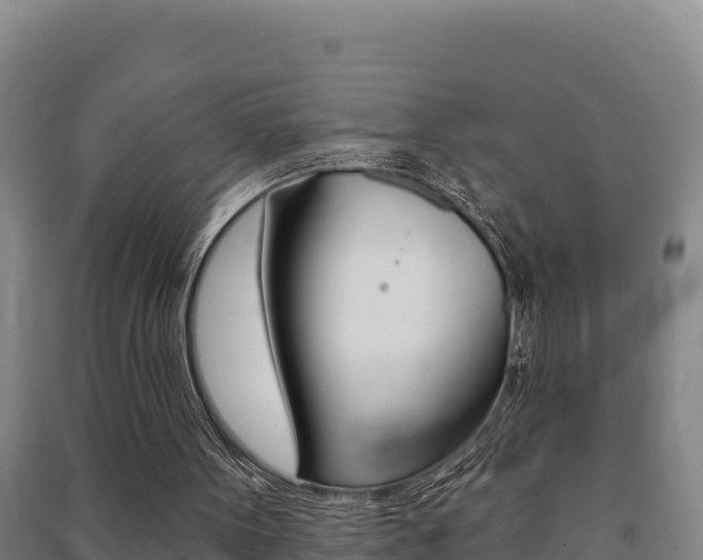 X0000091470099200708161136
