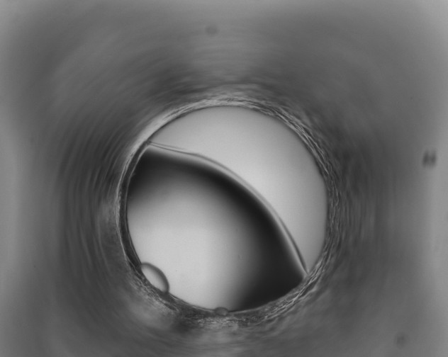 X0000091470100200708161136