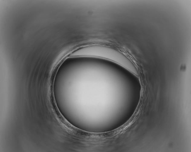X0000091470101200708161136