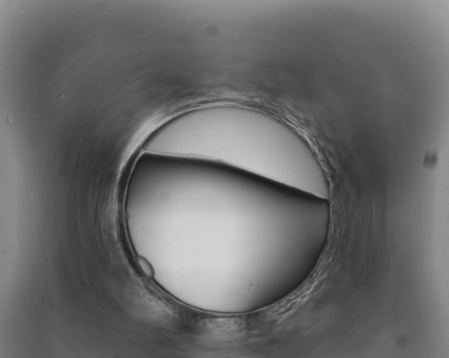 X0000091470102200708161136