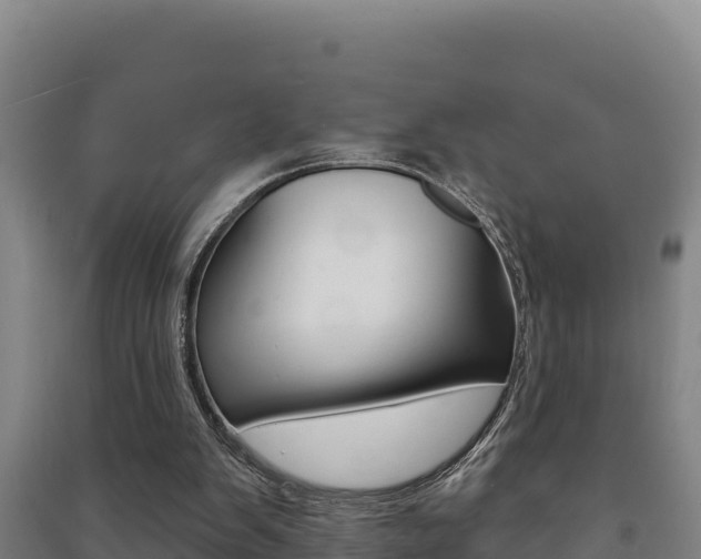 X0000091470103200708161136