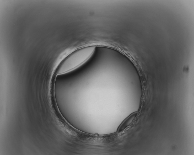 X0000091470104200708161136