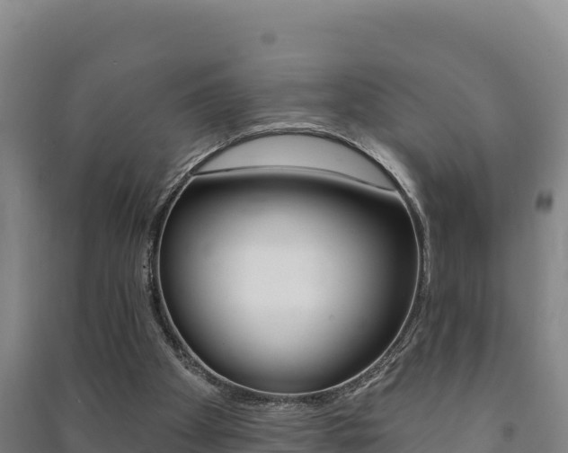 X0000091470105200708161136
