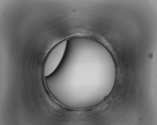 X0000091470106200708161136