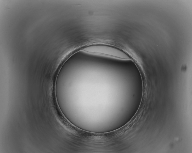 X0000091470107200708161136