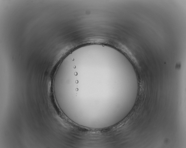 X0000091470110200708161136